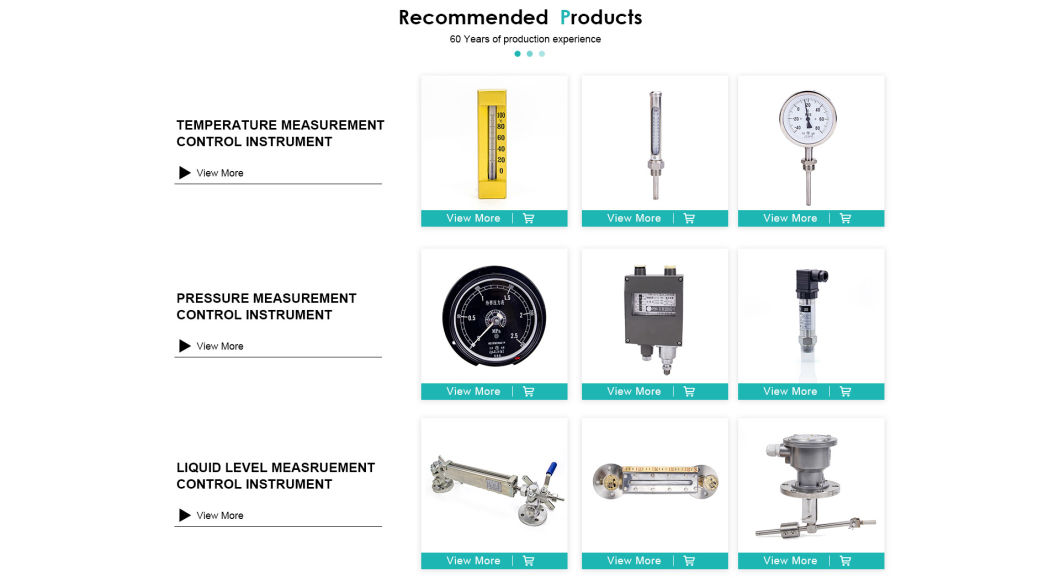 OEM Magnetic Float Type Level Gauge for Oil or Water Tanks