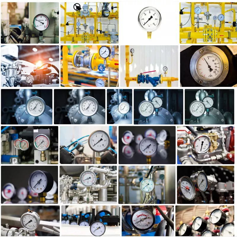 Oil Filled Bourdon Tubes Flange Pressure Gauge Stainless Steel High Pressure Psi Manometer