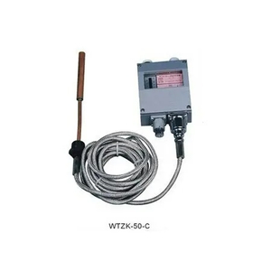 2023 Hot Sale Temperature Sensor for Fuel Oil Steam Wtzk-50-C