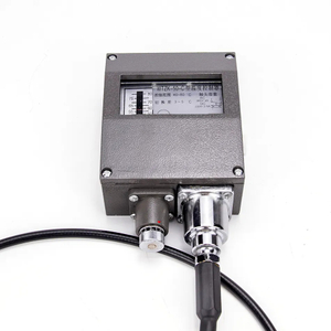 Wtzk-50-C Pressure Type Temperature Controller