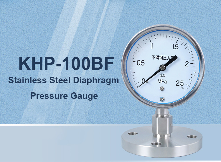 Stainless Steel Flange Diaphragm with Gauge Manometer 0 - 200 Psi Pressure Gauge