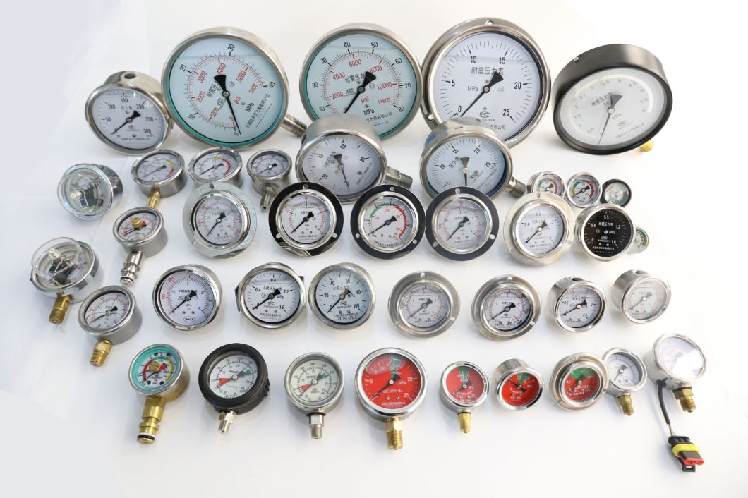 Bottom Diaphragm Pressure Gauge Manufacture Diaphragm Pressure Gauge