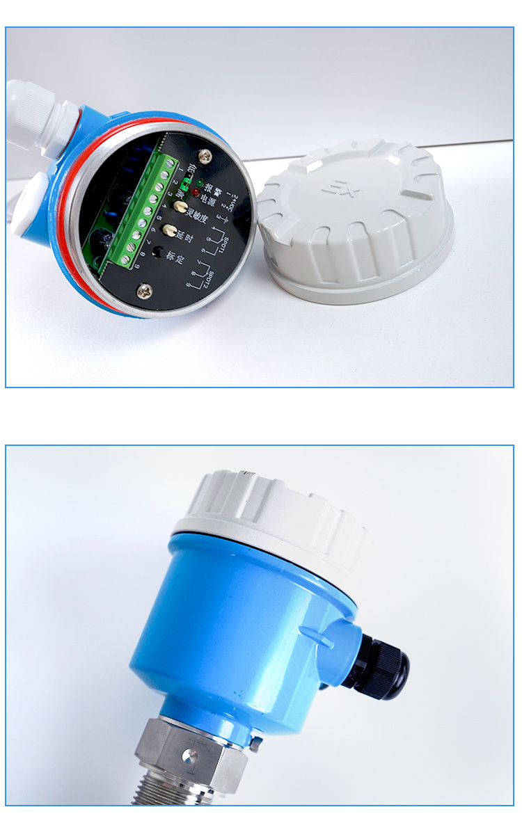 Vibronic Point Tuning Fork Level Switch for Liquids