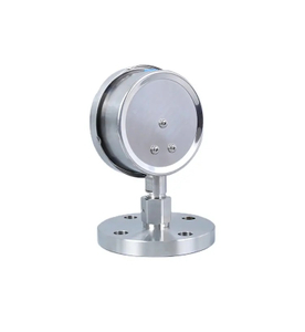 High Precision Sanitary Flat Diaphragm Pressure Gauge All Stainless Steel Seal Sanitary Diaphragm