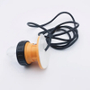 Bsw9812 Transparent IP56 Plastic Emergency Marine Warning Strobe Light