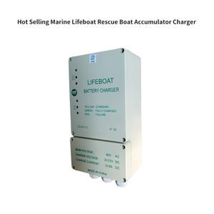 Quality Guarantee Eco-Friendly Professional Made Lifeboat Battery Chargers for Boats