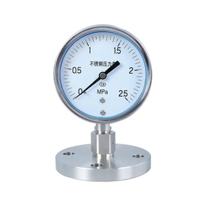 Stainless Steel Diaphragm Pressure Gauge