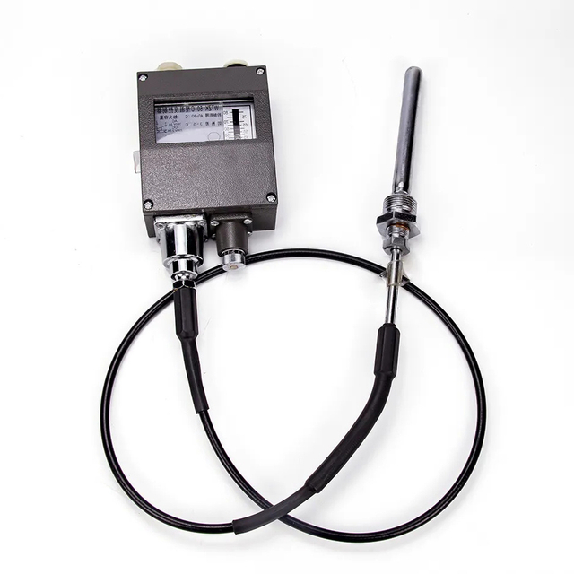 2023 High Quality Temperature Switch for Fuel Oil Wtzk-50-C