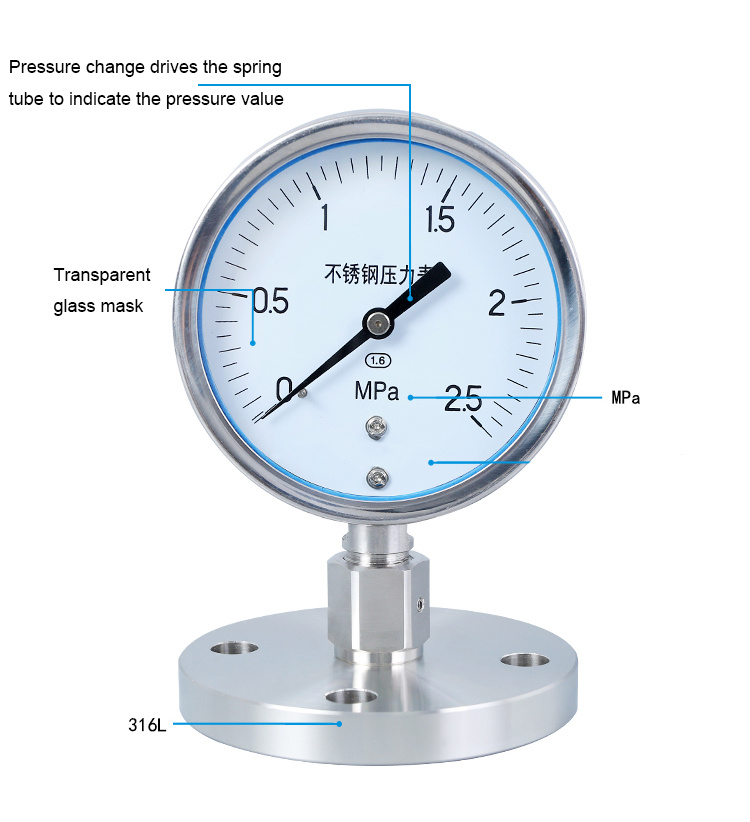 Bottom Diaphragm Pressure Gauge Manufacture Diaphragm Pressure Gauge