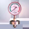 High Precision Sanitary Flat Diaphragm Pressure Gauge All Stainless Steel Seal Sanitary Diaphragm