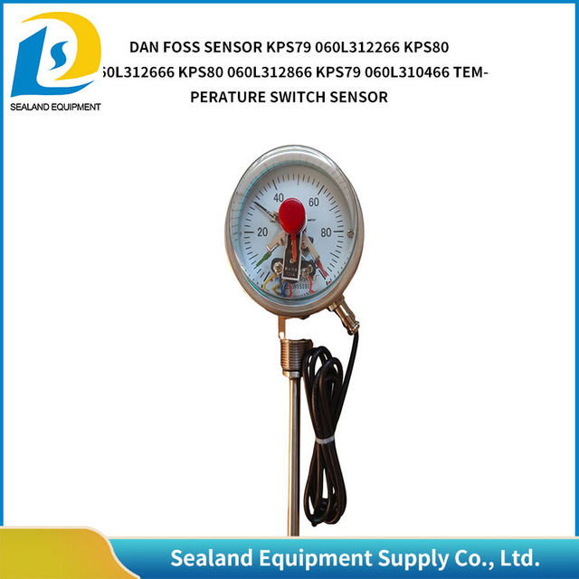 Bimetal Thermometer Wss-411 Pointer Radial Axis High-Precision Industrial High-Temperature Pipeline Temperature Instrument