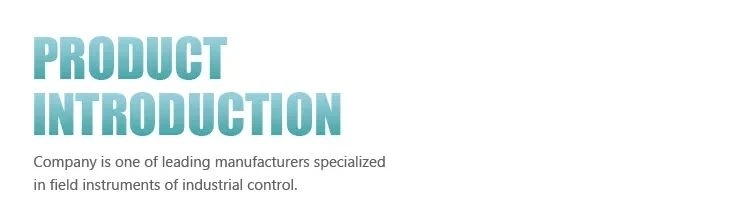Uqk-651 High Quality Cable Float Ball Switch Boiler Water Level Control for Boilerlevel Switch