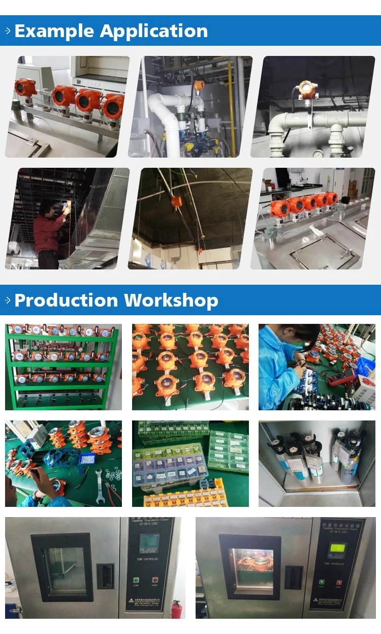 Fixed Type Gas Leakage Monitor Alarm Measurement Inspecting Detector