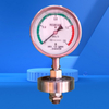 High Precision Sanitary Flat Diaphragm Pressure Gauge All Stainless Steel Seal Sanitary Diaphragm