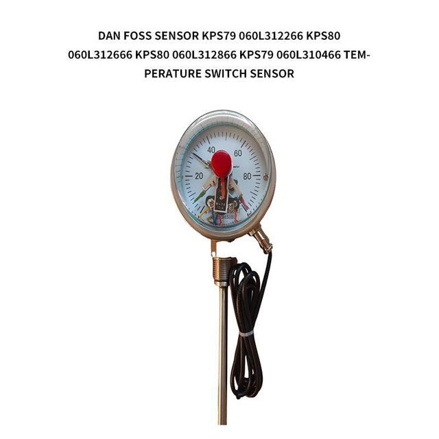 Wssx-411 Bimetal Pipe Thermometer Probe with PT100 Rtd Temperature Transmitter Temperature Instruments