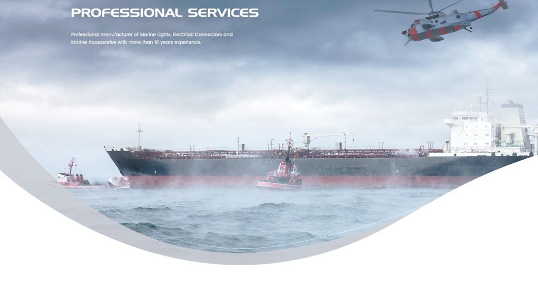 Various Specifications Durable Fast Fever Removable Water Tubular Heater Flange Heating Pipe