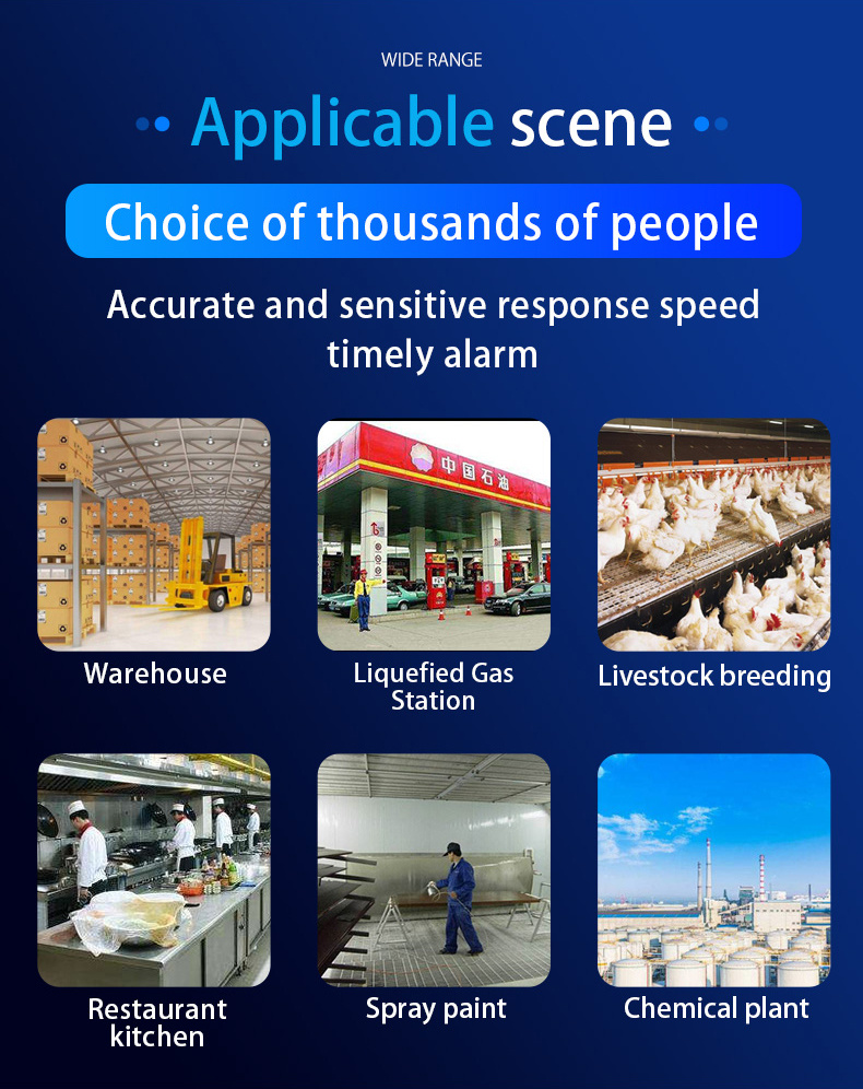 Fixed Gas Detector LPG/CH4 0-100%Vol Gas Leak Detector Alarm