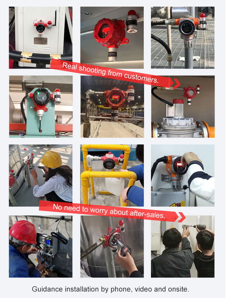 Certified Explosion-Proof Fixed Gas Detector with Sound and Light Alarm