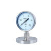 Stainless Steel Diaphragm Pressure Gauge