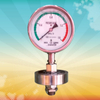 High Precision Sanitary Flat Diaphragm Pressure Gauge All Stainless Steel Seal Sanitary Diaphragm