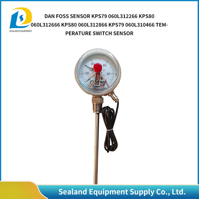 Radial Bimetallic Thermometer Industrial Wss411 Thermometer Temperature Measurement Boiler Pipeline Stainless Steel