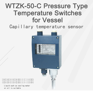 Temperature Controller for Gas, Liquid or Steam Wtzk-50-C Temperature Controller