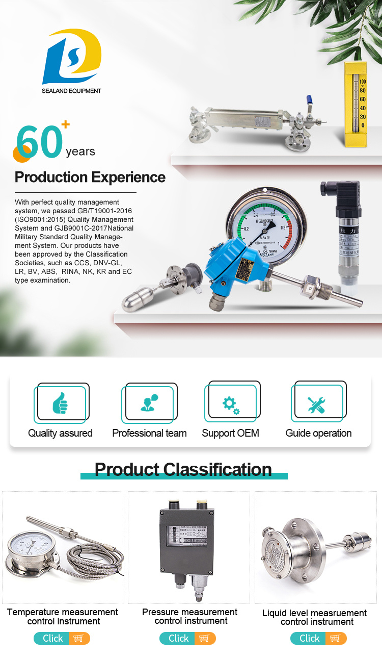 OEM Magnetic Float Type Level Gauge for Oil or Water Tanks