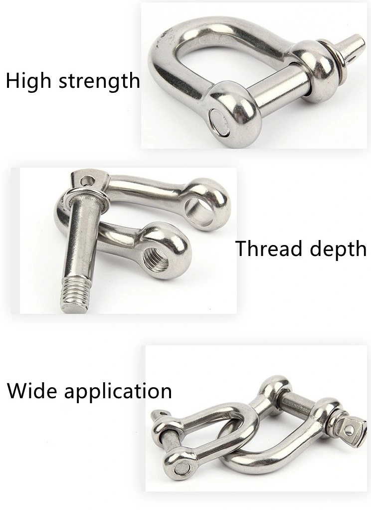 High Quality Grade Stainless Steel 304/316 Shackle D Type Rigging