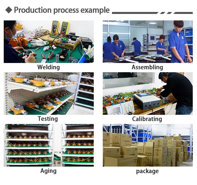 Fixed Gas Detector LPG/CH4 0-100%Vol Gas Leak Detector Alarm